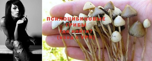 гидра Медвежьегорск