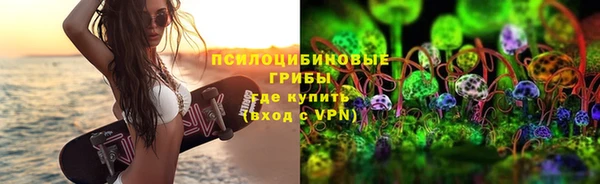 тгк Нея