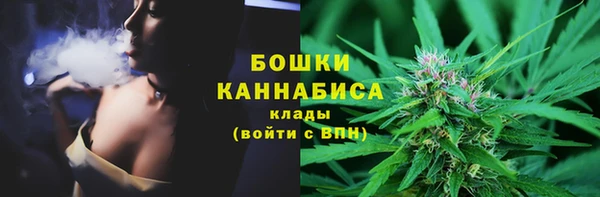стафф Братск