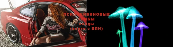 СК Медногорск