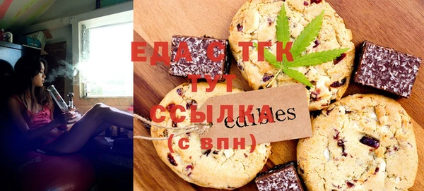 индика Великий Новгород