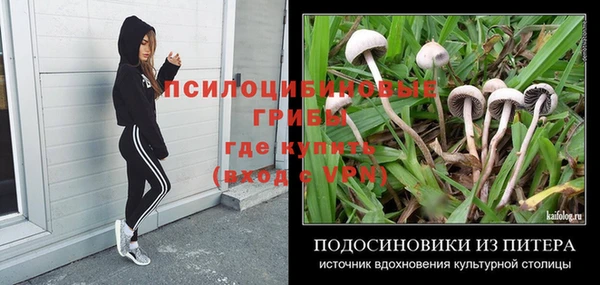PSILOCYBIN Мегион
