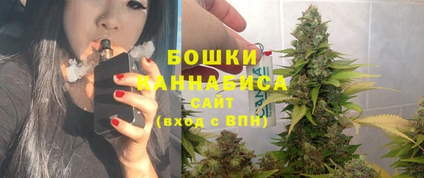PSILOCYBIN Мегион
