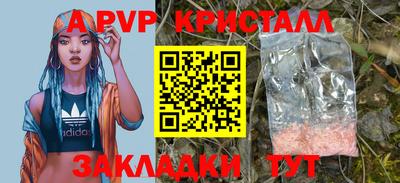 стафф Гай
