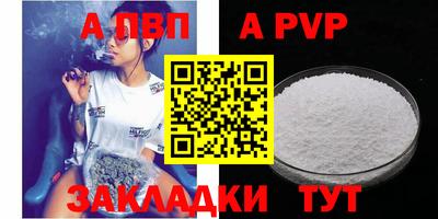 стафф Гай