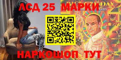 стафф Гай
