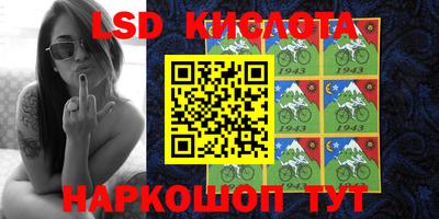 стафф Гай