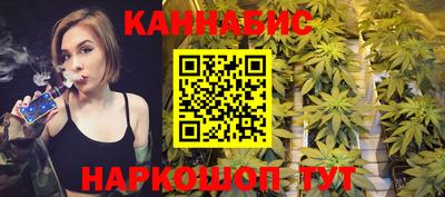 стафф Гай