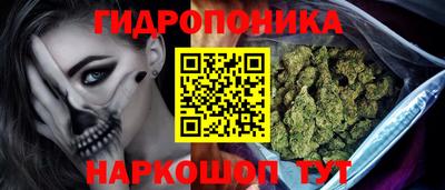 стафф Гай