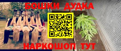 стафф Гай