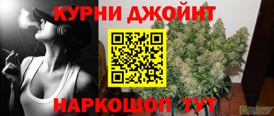 стафф Гай
