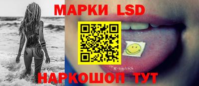 стафф Гай