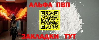 стафф Гай