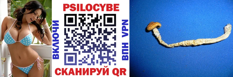 купить  цена  Дербент  Галлюциногенные грибы Psilocybine cubensis 