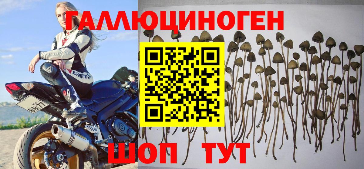 НБОМе  Экстази  Дербент  Мефедрон   Мефедрон   COCAIN  ГАШ  Марихуана  A-PVP СОЛЬ  