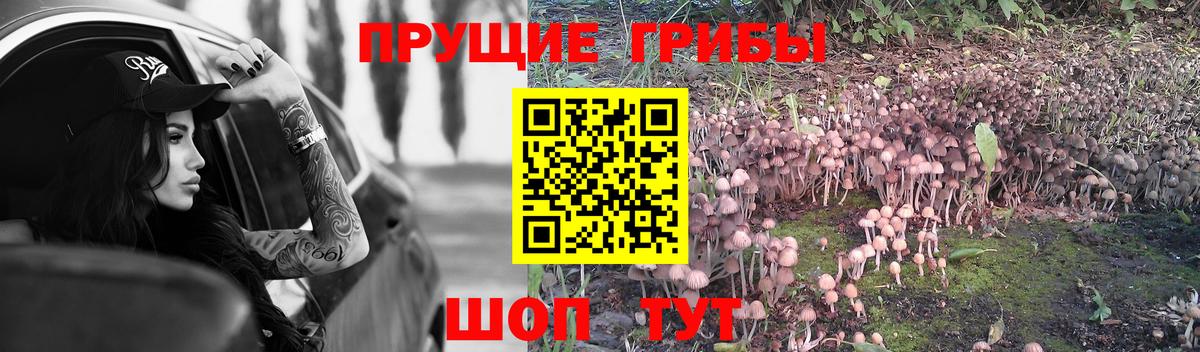 Псилоцибиновые грибы MAGIC MUSHROOMS Дербент