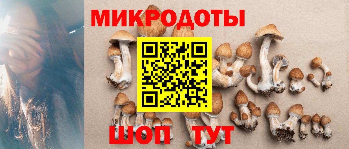 Дербент  Галлюциногенные грибы Psilocybine cubensis  Вход с VPN 